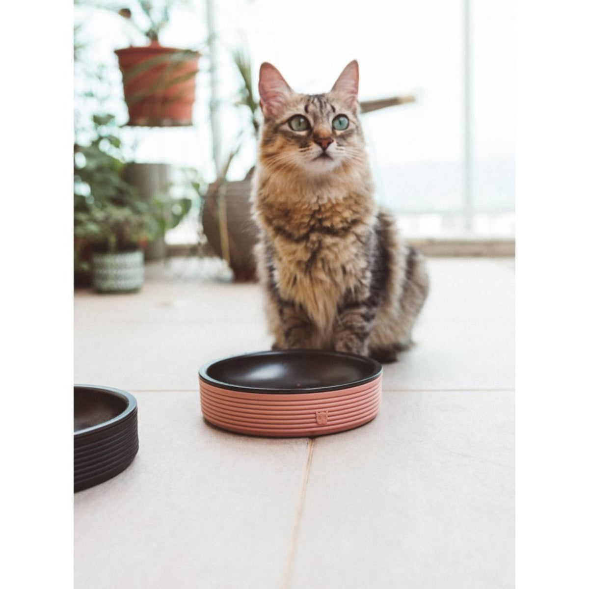 Zee.Cat Ciotola per Gatti Duo Bowl d.18cm 430ml