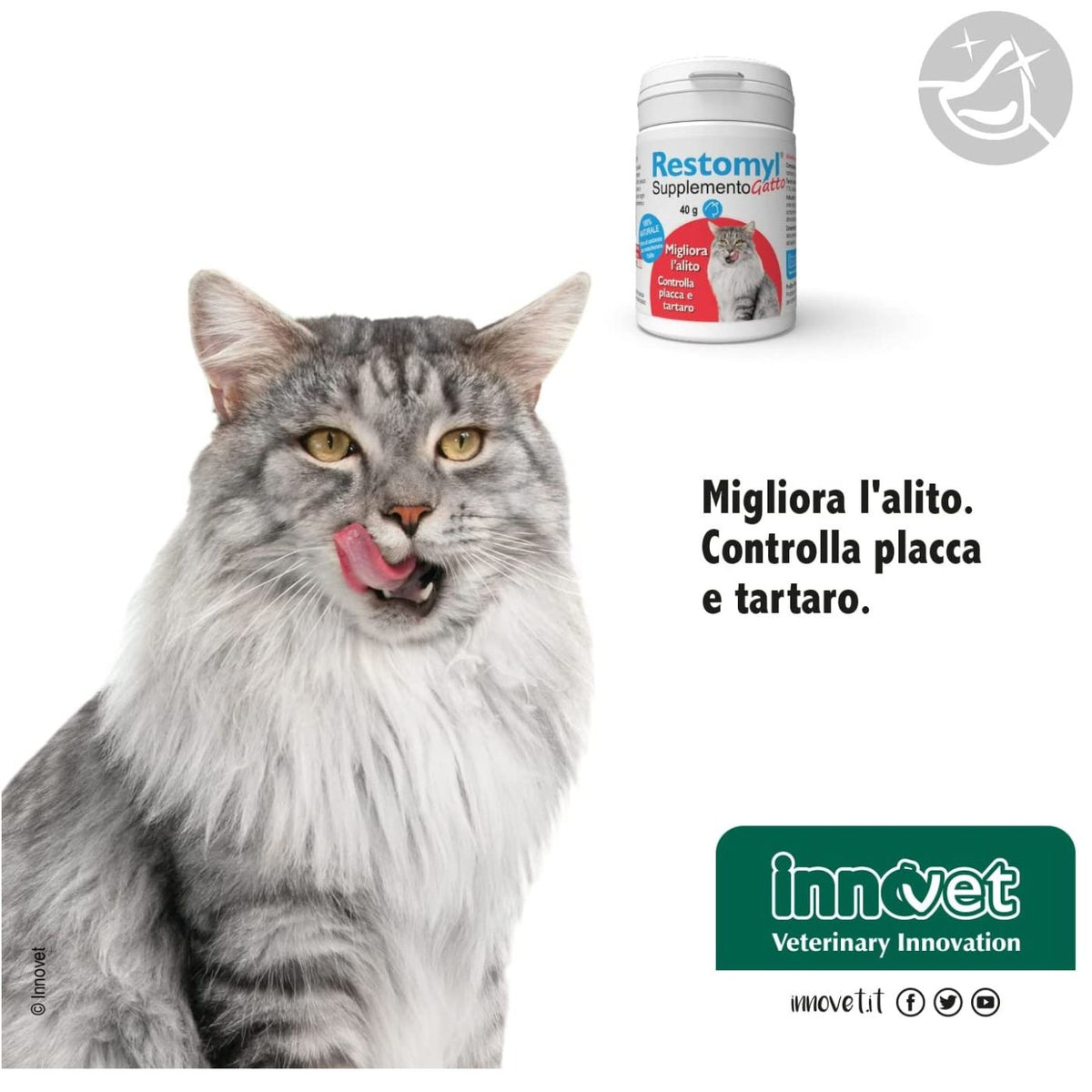 Restomyl Supplemento - Gatto 40 g per Gatti Innovet