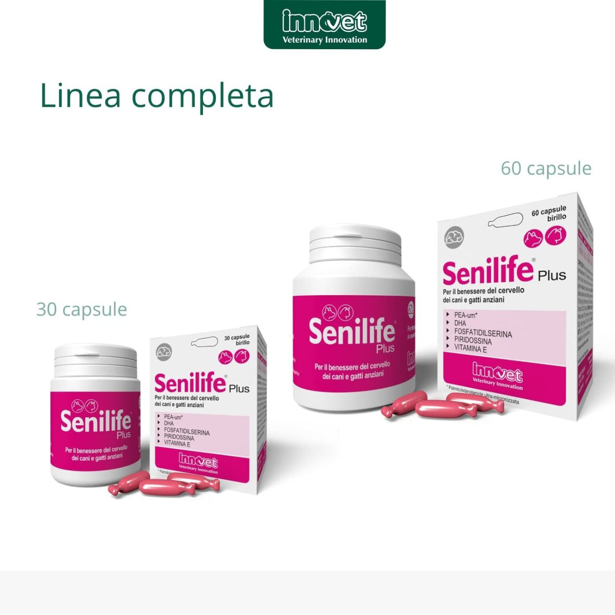 Senilife Plus per Cani e Gatti Anziani Innovet