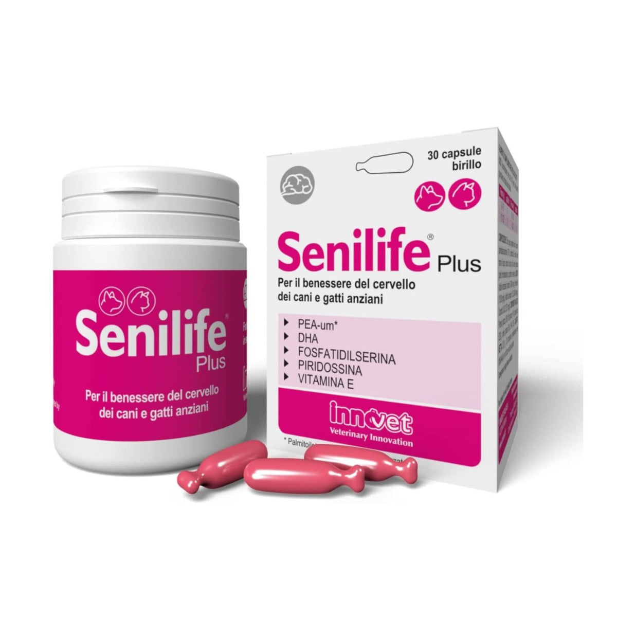 Senilife Plus per Cani e Gatti Anziani Innovet