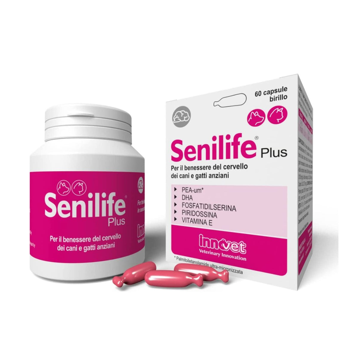 Senilife Plus per Cani e Gatti Anziani Innovet
