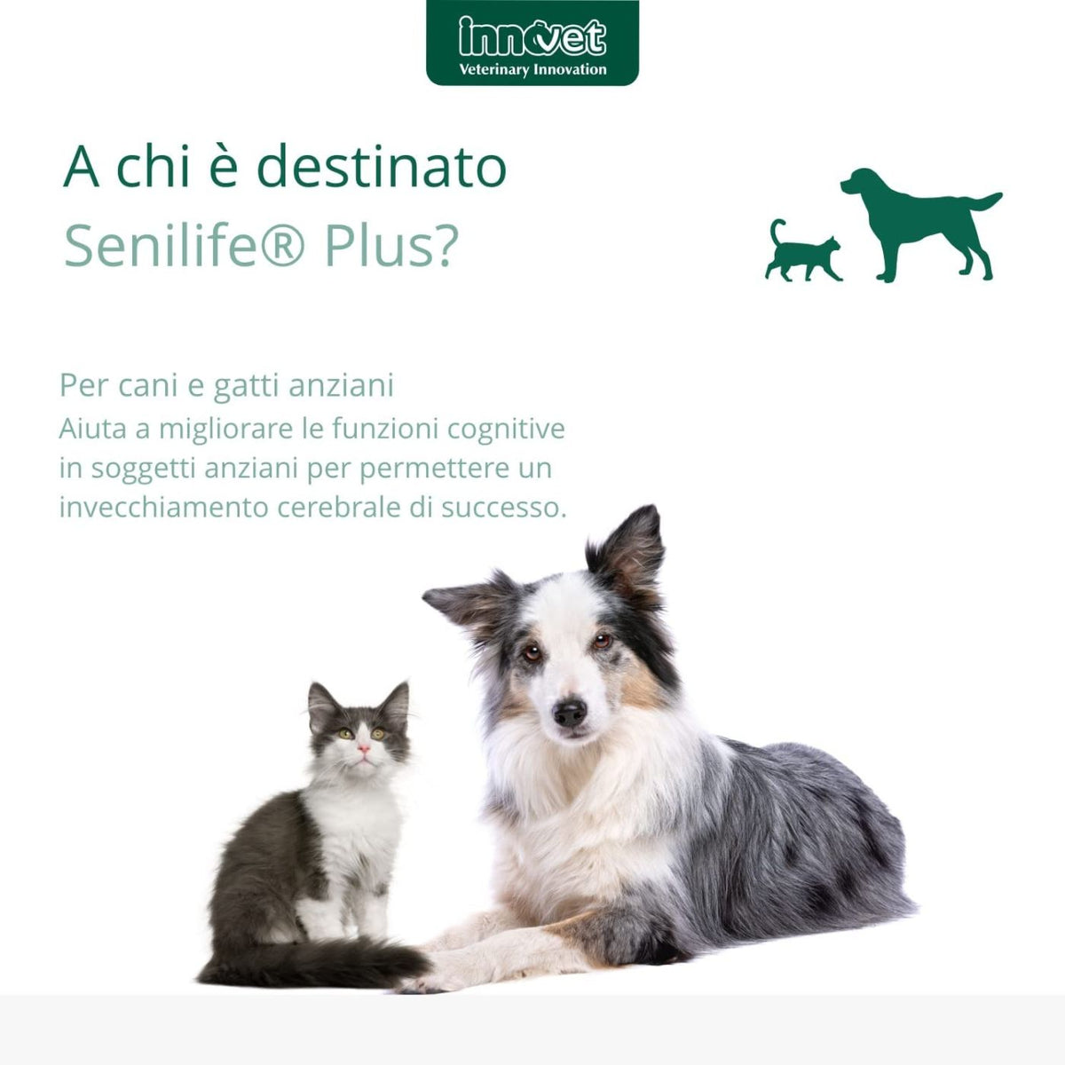 Senilife Plus per Cani e Gatti Anziani Innovet