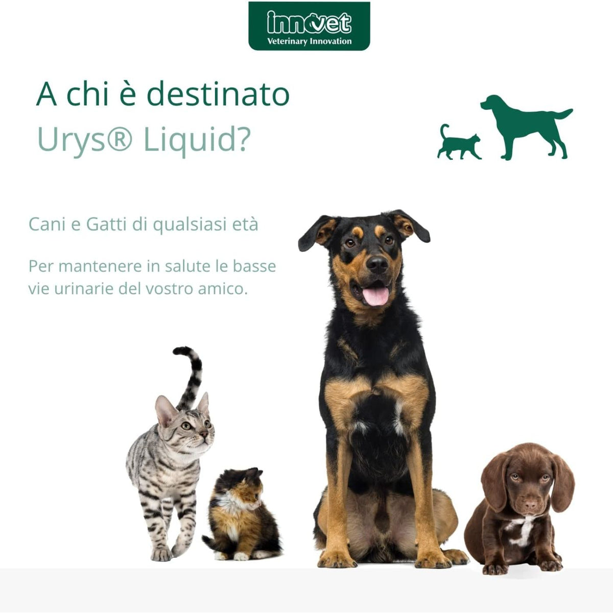 Urys Liquid 60 ml Integratore per Cani e Gatti Innovet