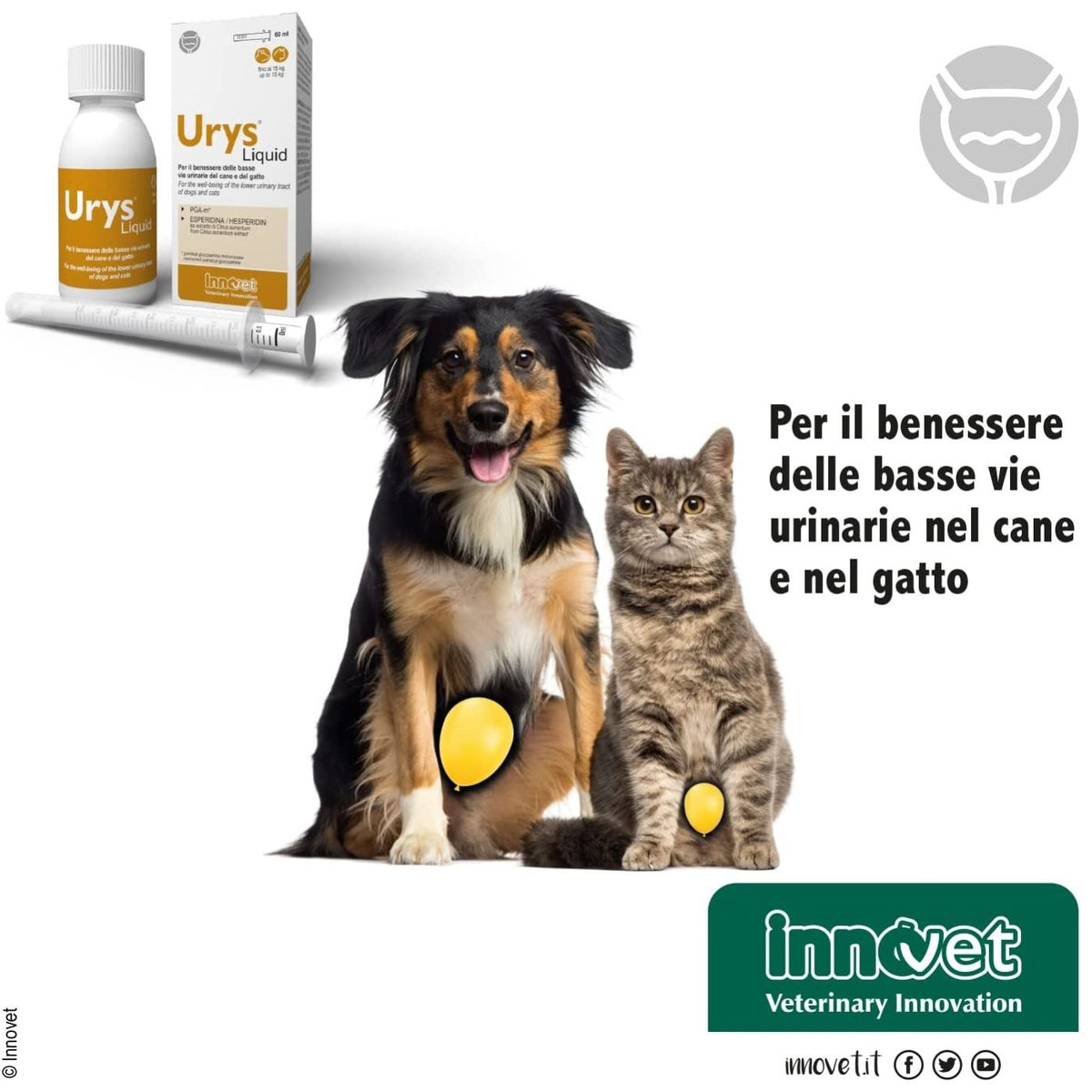 Urys Liquid 60 ml Integratore per Cani e Gatti Innovet