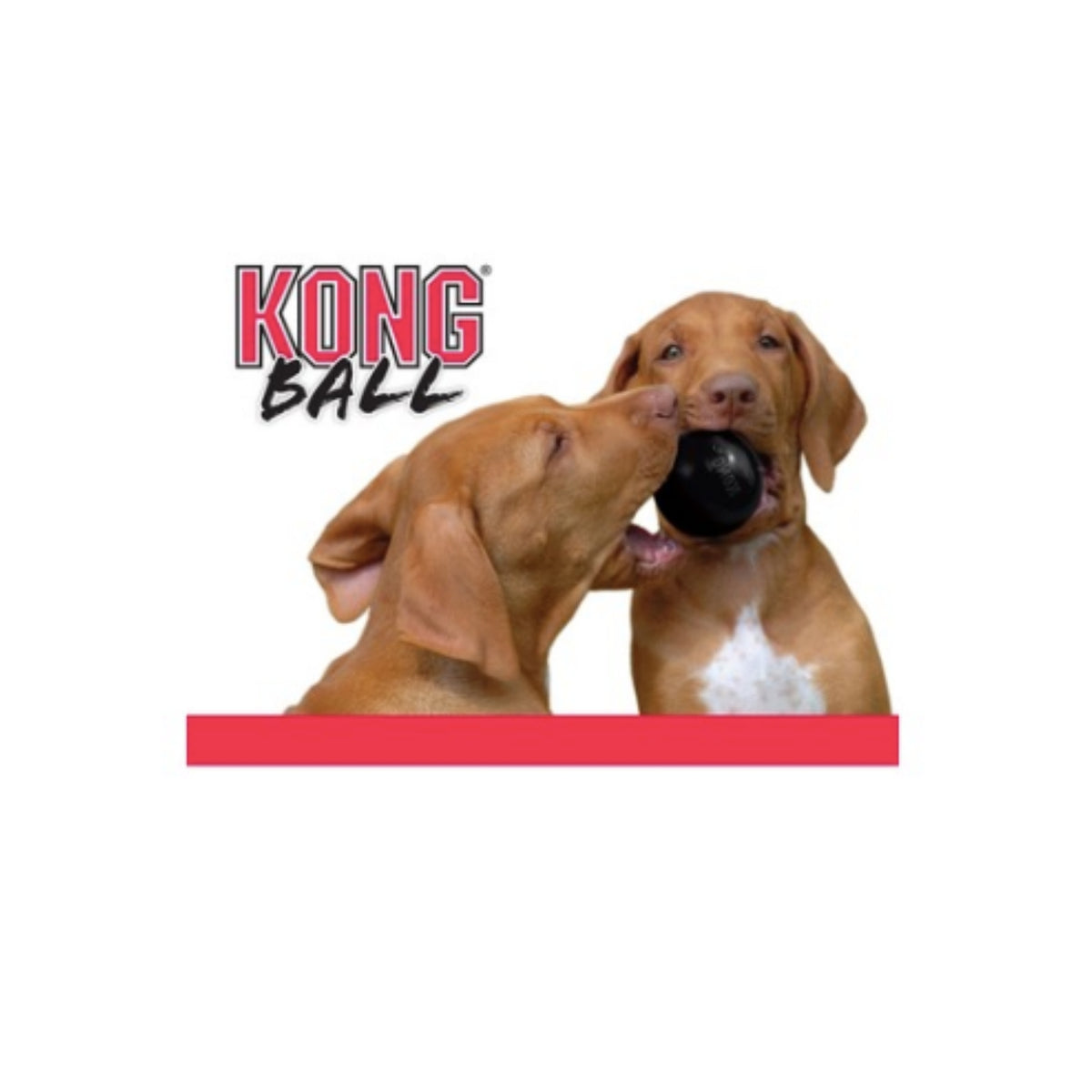 Kong Palla Extreme Medio Grande per Cani