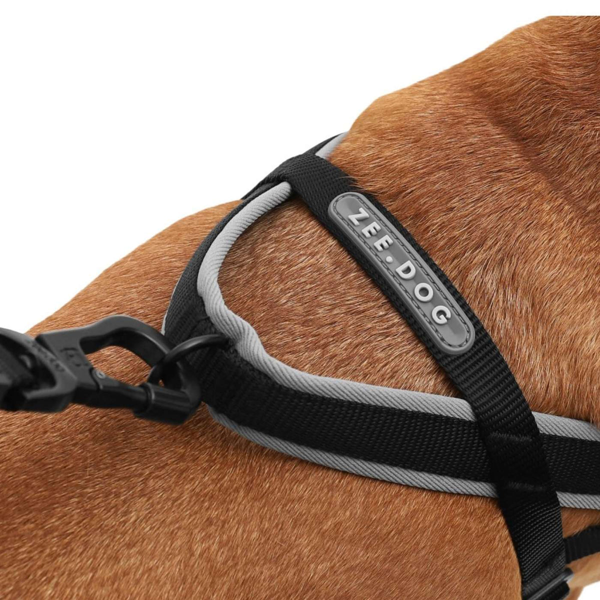 Zee.Dog Pettorina Norvegese Softer-Walk per Cani Gotham