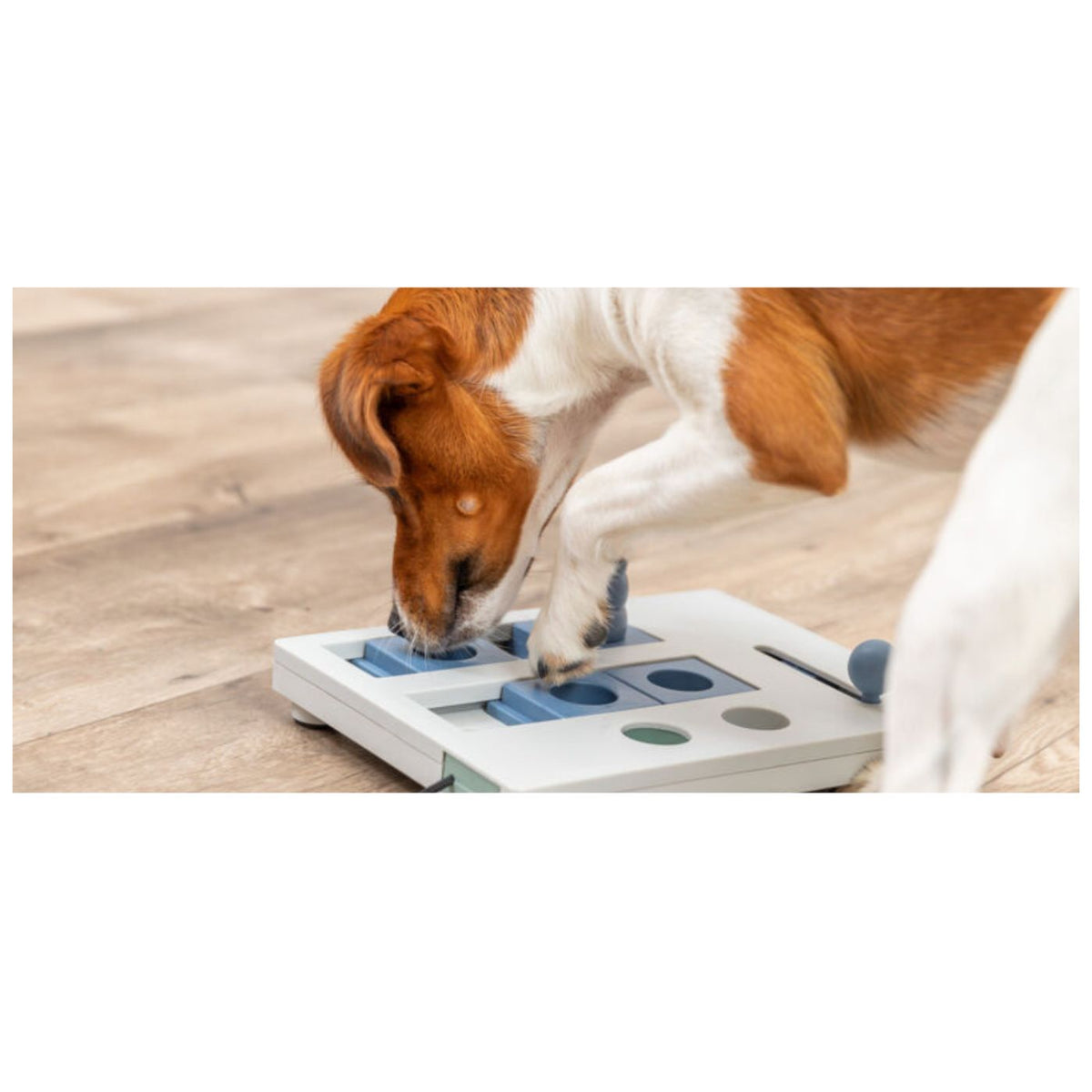 Trixie Activity Mini Mover Gioco Strategico Livello 3 Adatto per Cani di Piccola Taglia 25 x 6 x 20 cm