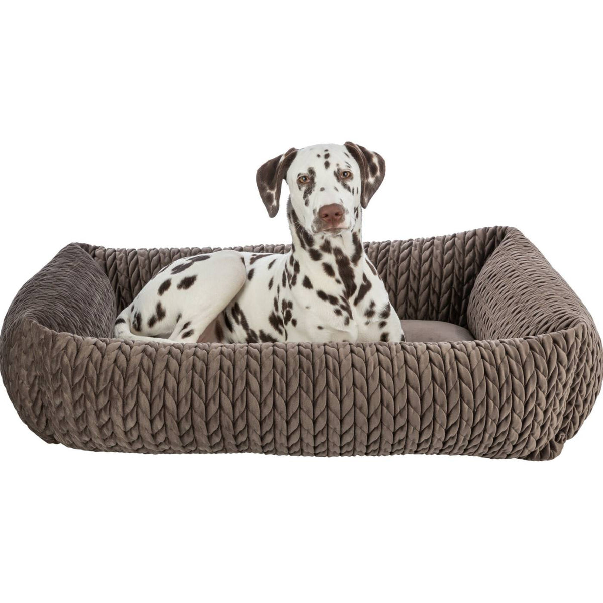Trixie Cuccia per Cani Modello Livia Marrone