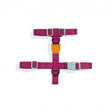 XS torace 23-38 cm