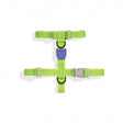 XS torace 23-38 cm