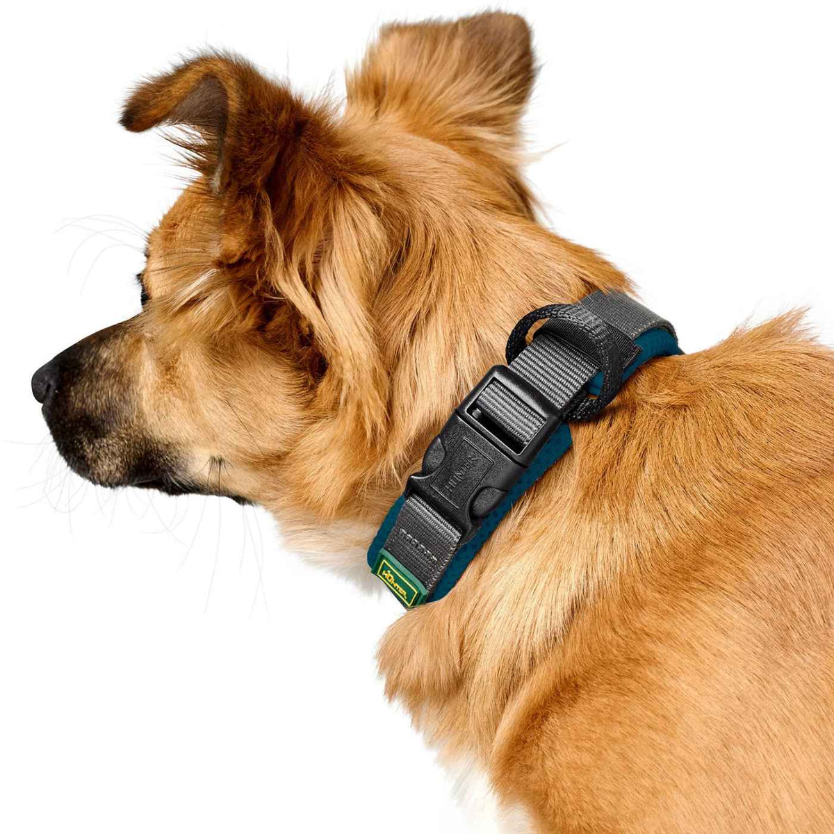 Hunter Collare per Cani Regolabile Maldon Petrolio/Grigio Riflettente