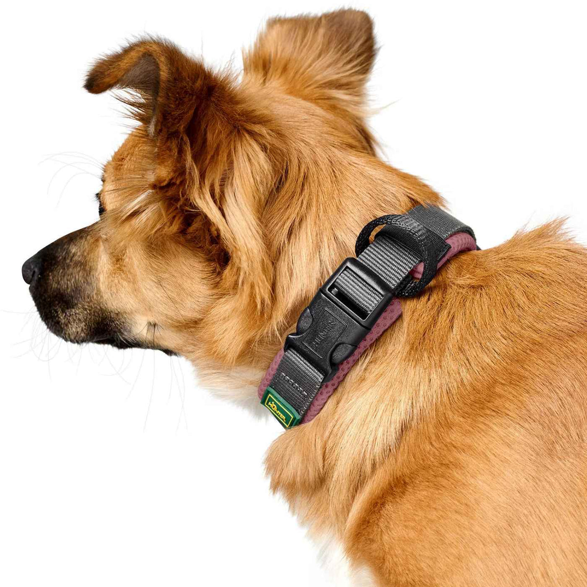 Hunter Collare per Cani Regolabile Maldon Rosa Antico/Grigio Riflettente