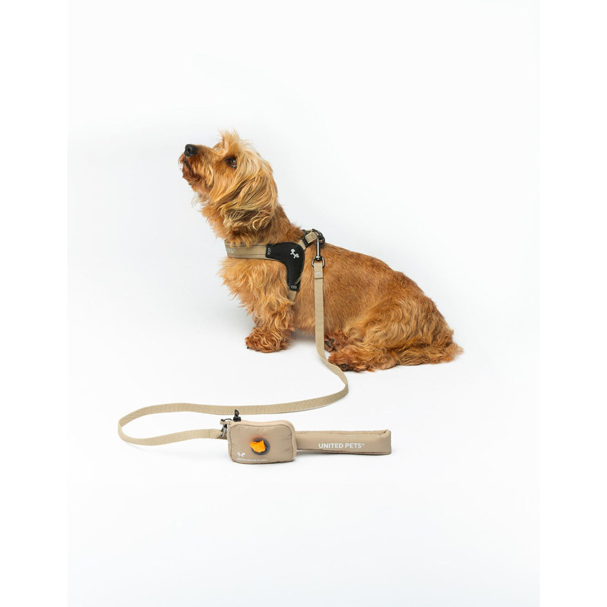 United Pets Portasacchetti Igienici per Cani Linea CityLife con Ricarica Beige