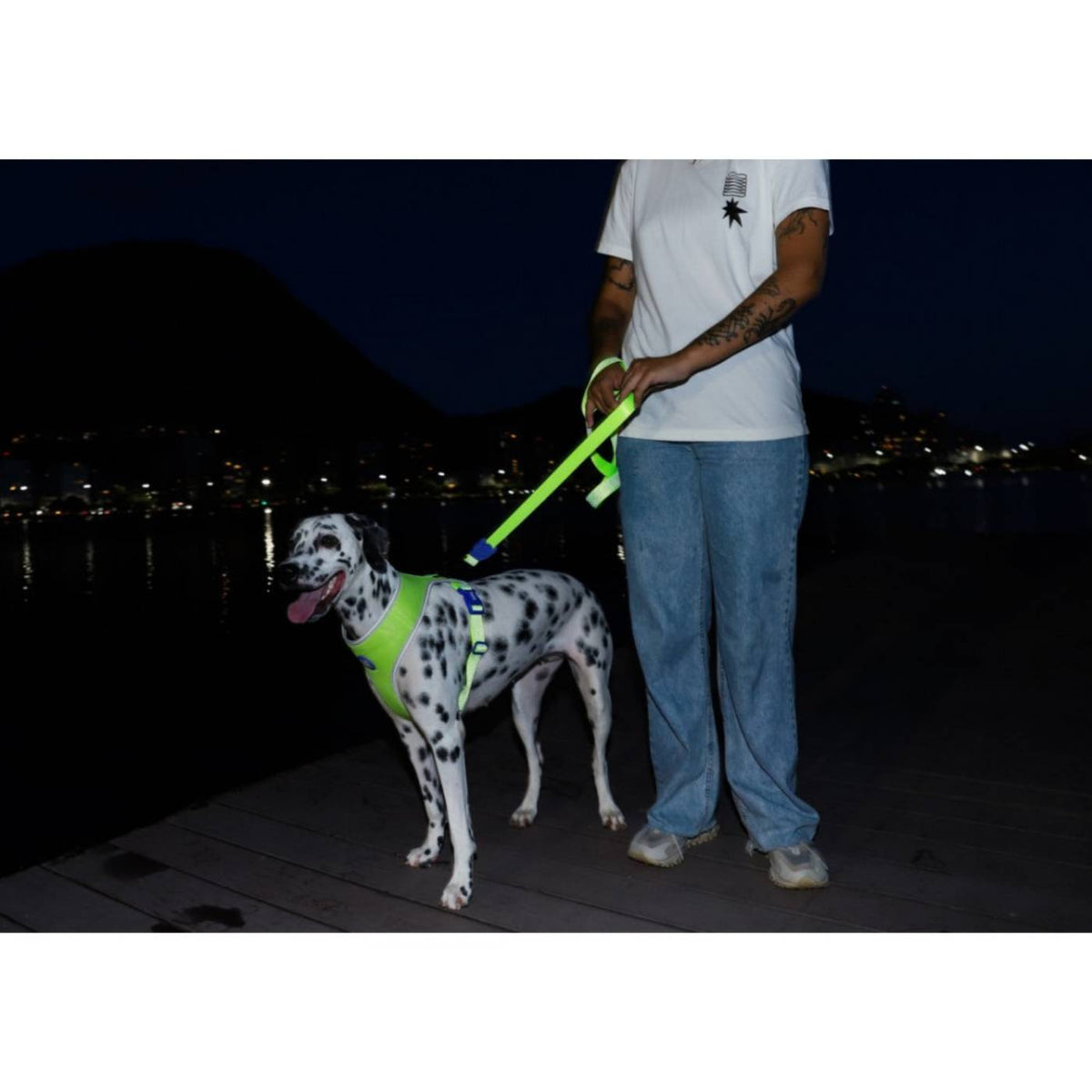 Zee.Dog Pettorina Regolabile Air Mesh per Cani Nox Lumen