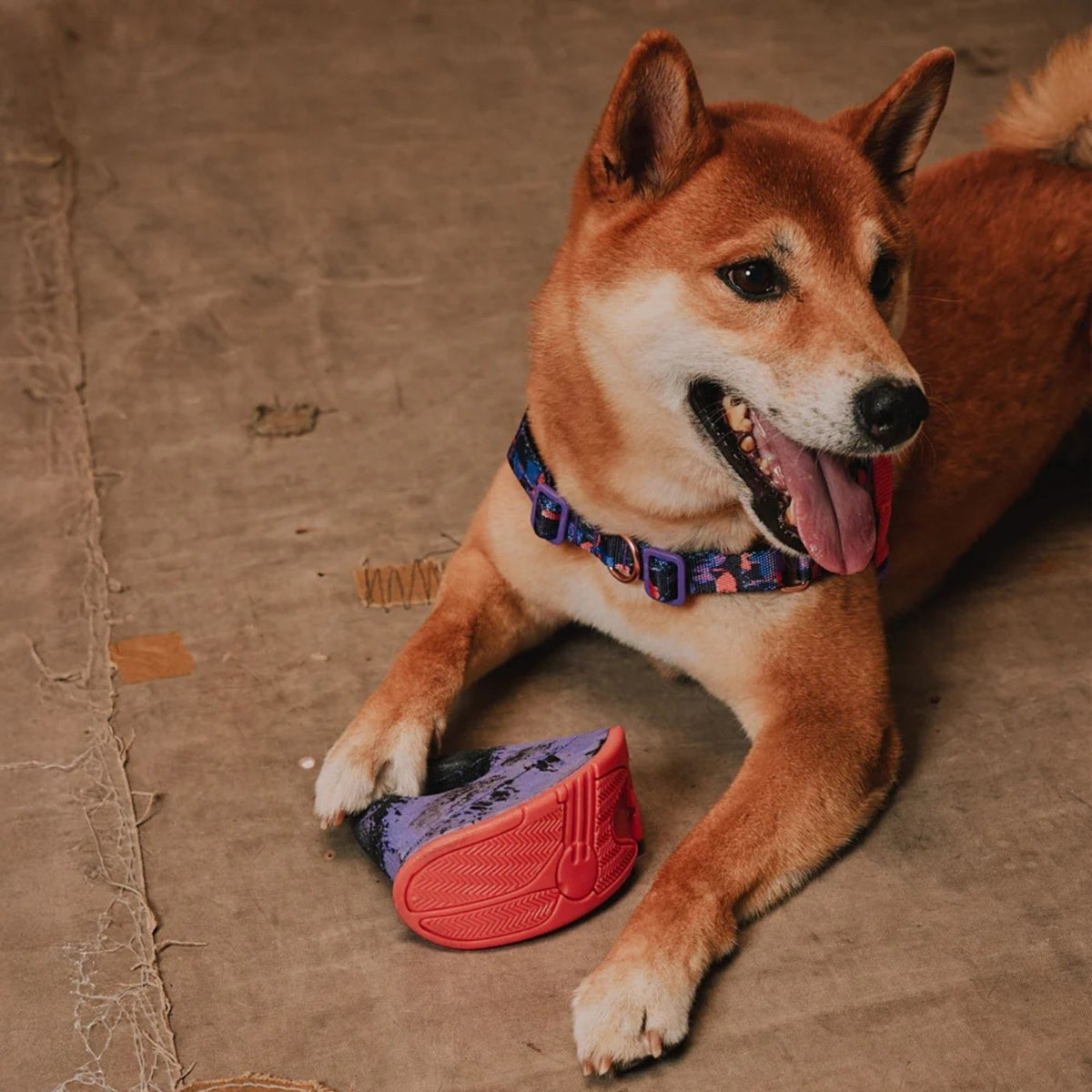Zee.Dog Gioco per Cani in TPR Reebok Court Rocking Tug Toy