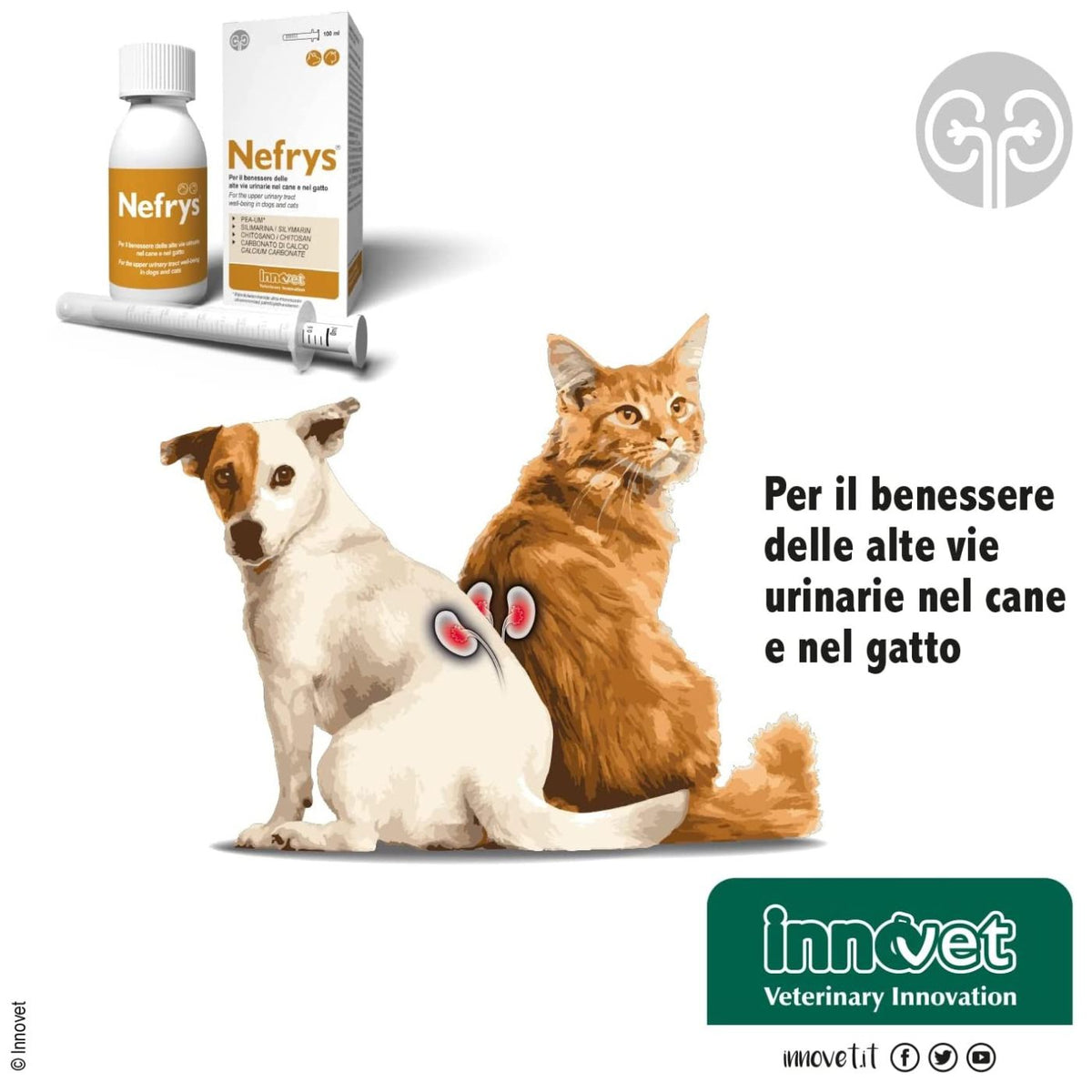 Nefrys Integratore per Cani e Gatti 100 ml Innovet