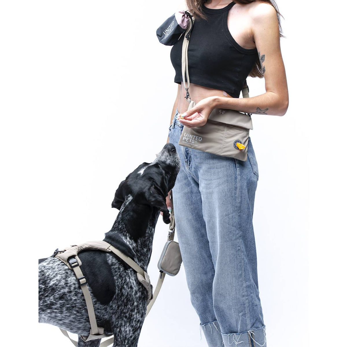 United Pets Pochette Borsa City Bag con Tracolla Linea CityLife Beige