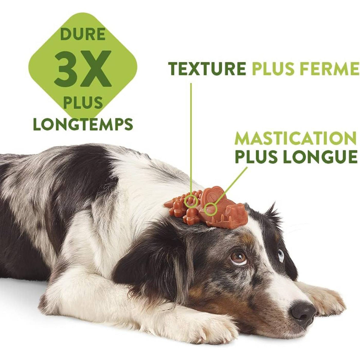Whimzees Snack Dentale Naturale Osso di Riso per Cani Ricebone M/L 12-27 Kg 9 pezzi