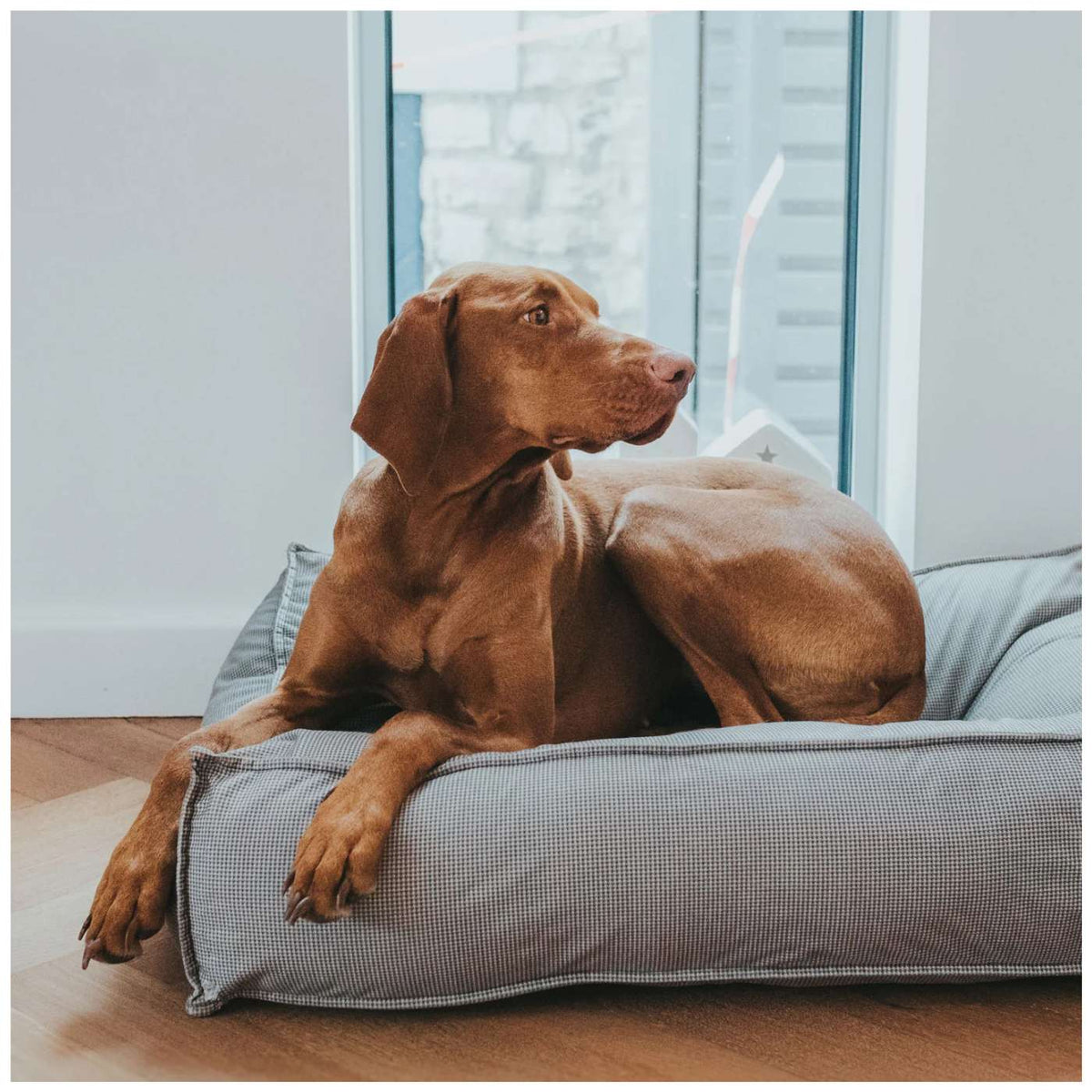 Hunter Cuscino Cuccia Letto per Cani Lancaster Grigio 100 x 70 cm