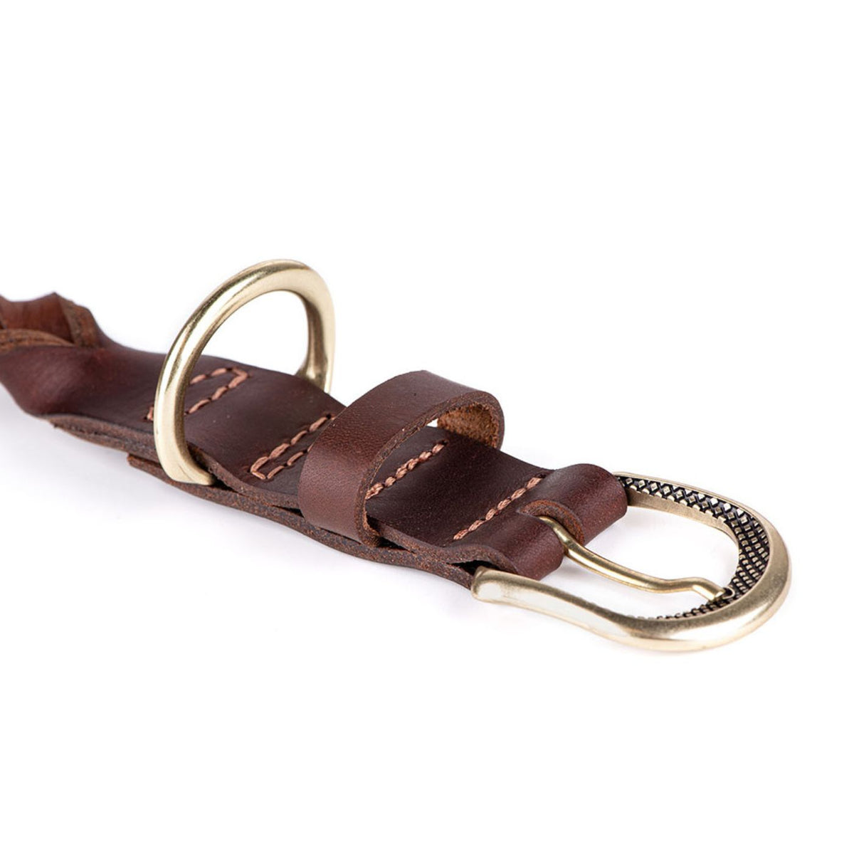 MyFamily Collare per Cani in Cuoio Ingrassato Marrone Ascot con Finiture in Ottone Inglese