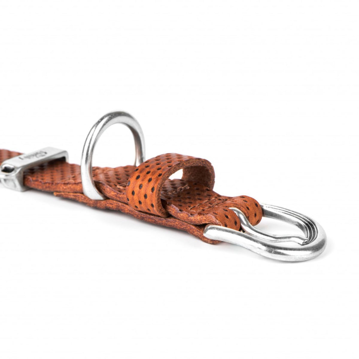 PROMO FINE SERIE !!! MyFamily Collare per Cani in Pelle Marrone Monza