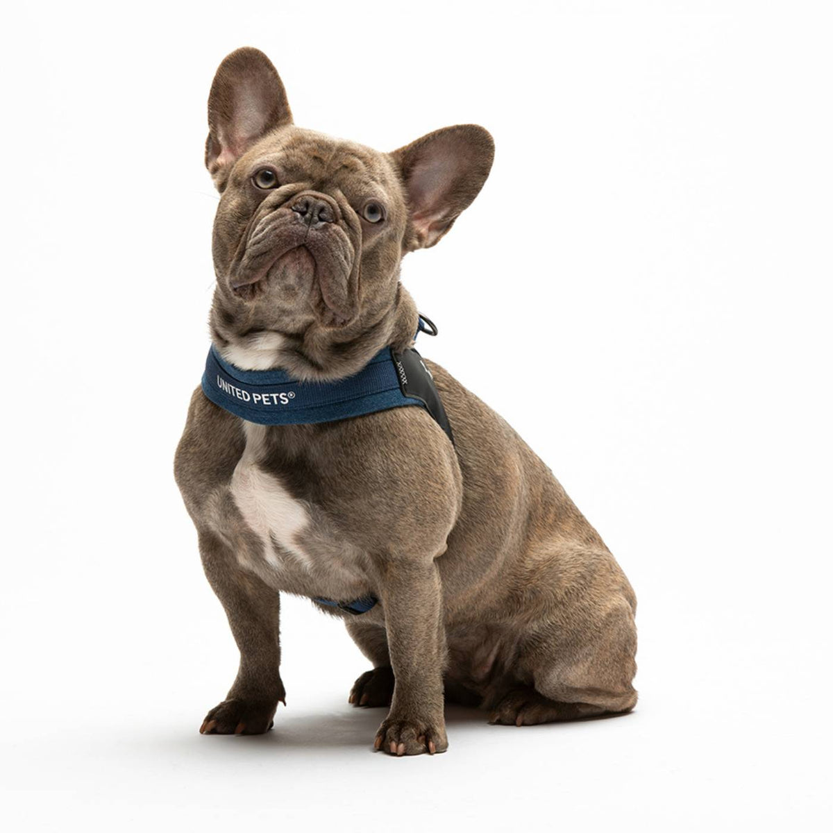 United Pets Pettorina per Cani Aggancio Rapido Linea CityLife Blue Jeans