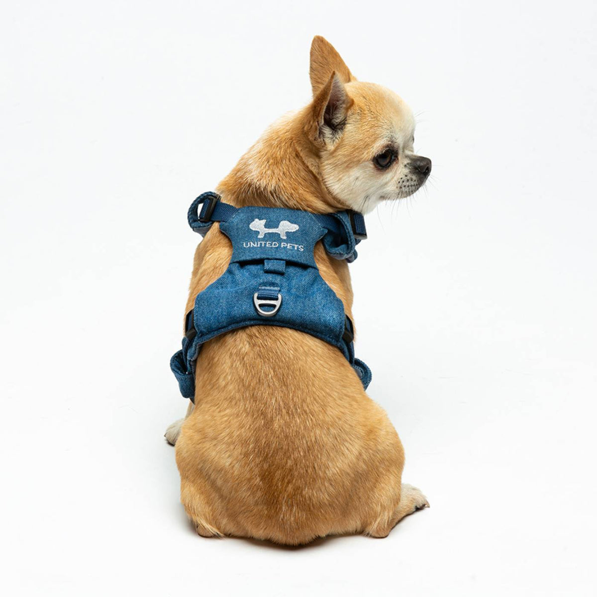 United Pets Pettorina H per Cani Imbottita Linea CityLife Blue Jeans