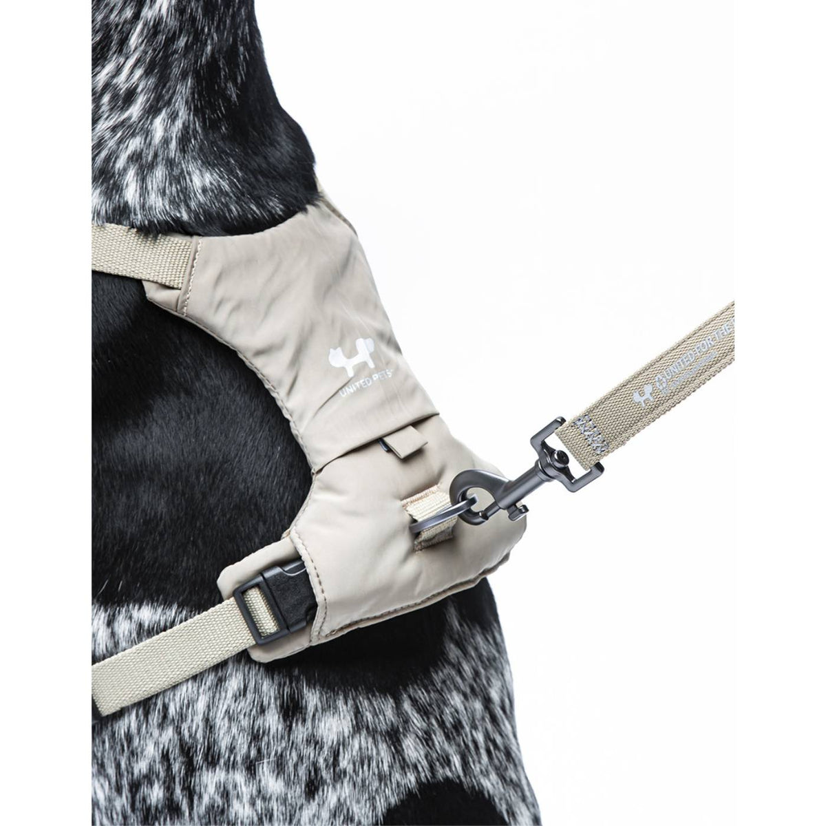 United Pets Pettorina H per Cani Imbottita Linea CityLife Beige