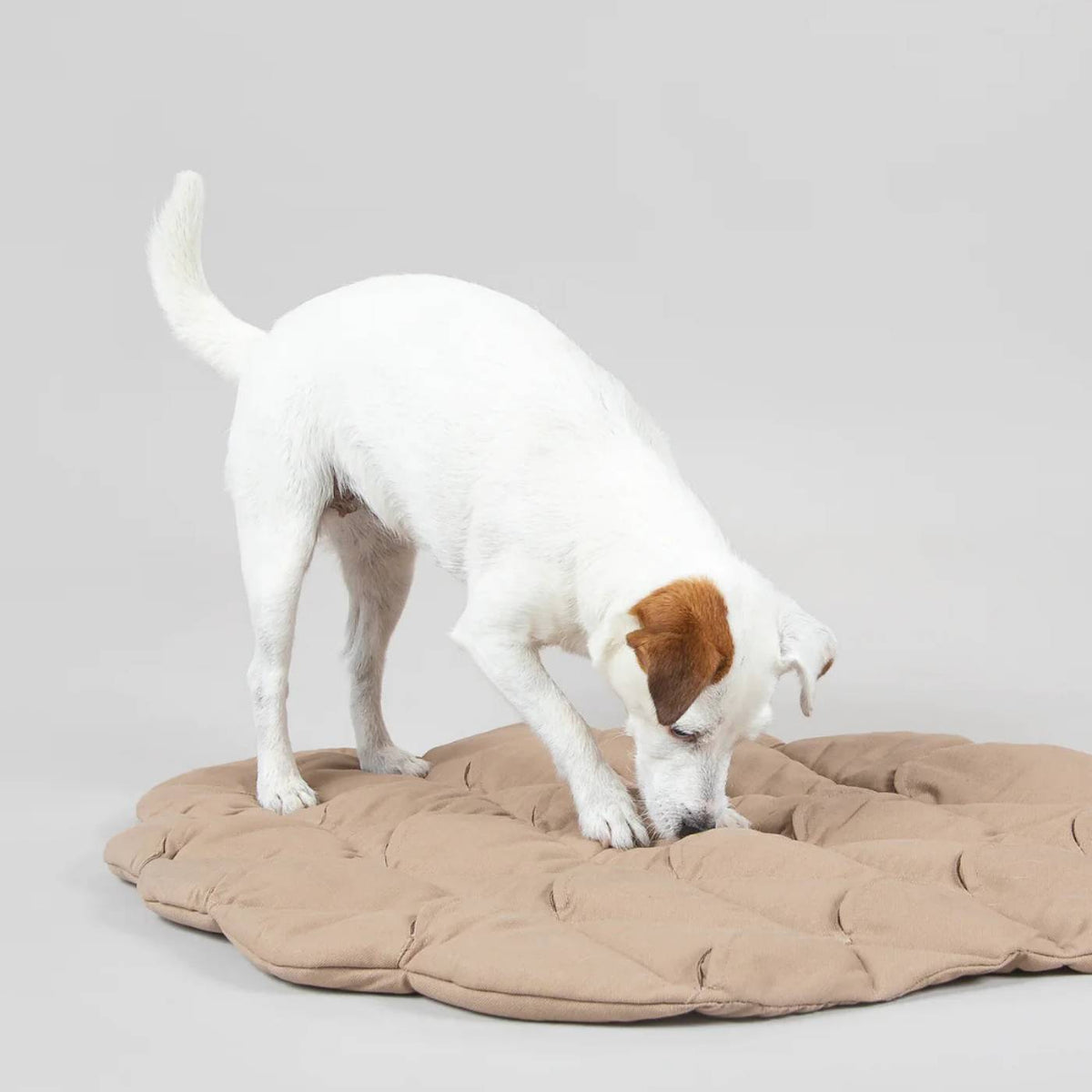 Paikka Tappeto Olfattivo per Animali Pinecone Playmat Beige 80 x 62 cm