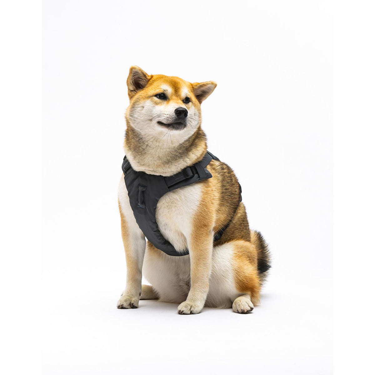 United Pets Pettorina H per Cani Imbottita Linea CityLife Grigio Antracite