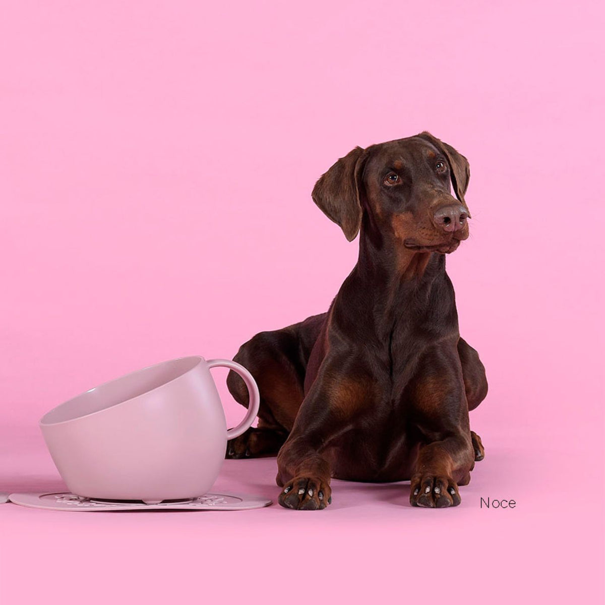 United Pets SET Ciotola e Sotto Ciotola per Cani CUP e PLATE in Polipropilene Rosa Antico