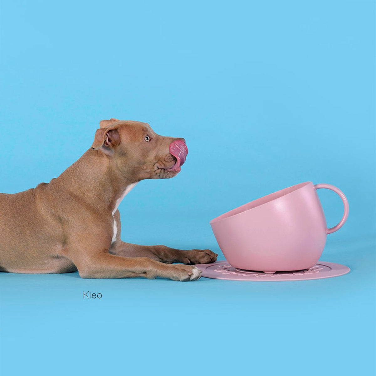 United Pets SET Ciotola e Sotto Ciotola per Cani CUP e PLATE in Polipropilene Rosa Antico