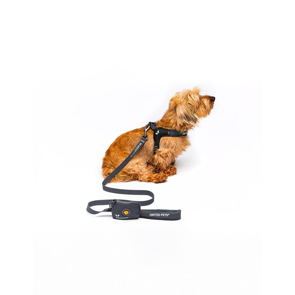United Pets Pettorina per Cani Aggancio Rapido Linea CityLife Grigio Antracite