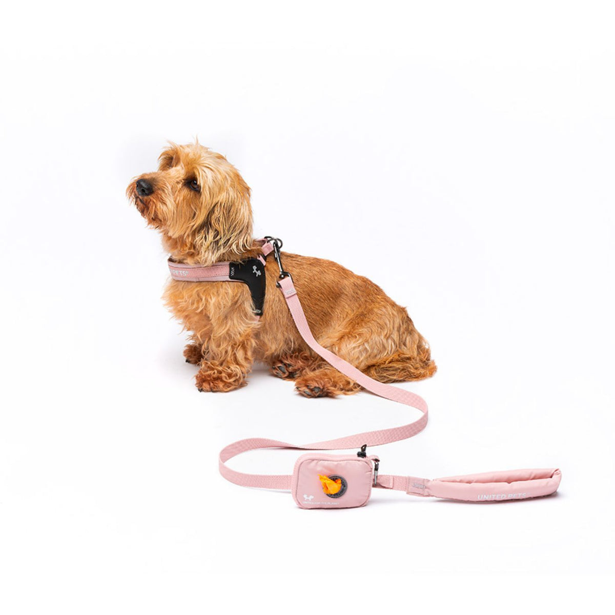 United Pets Pettorina per Cani Aggancio Rapido Linea CityLife Rosa