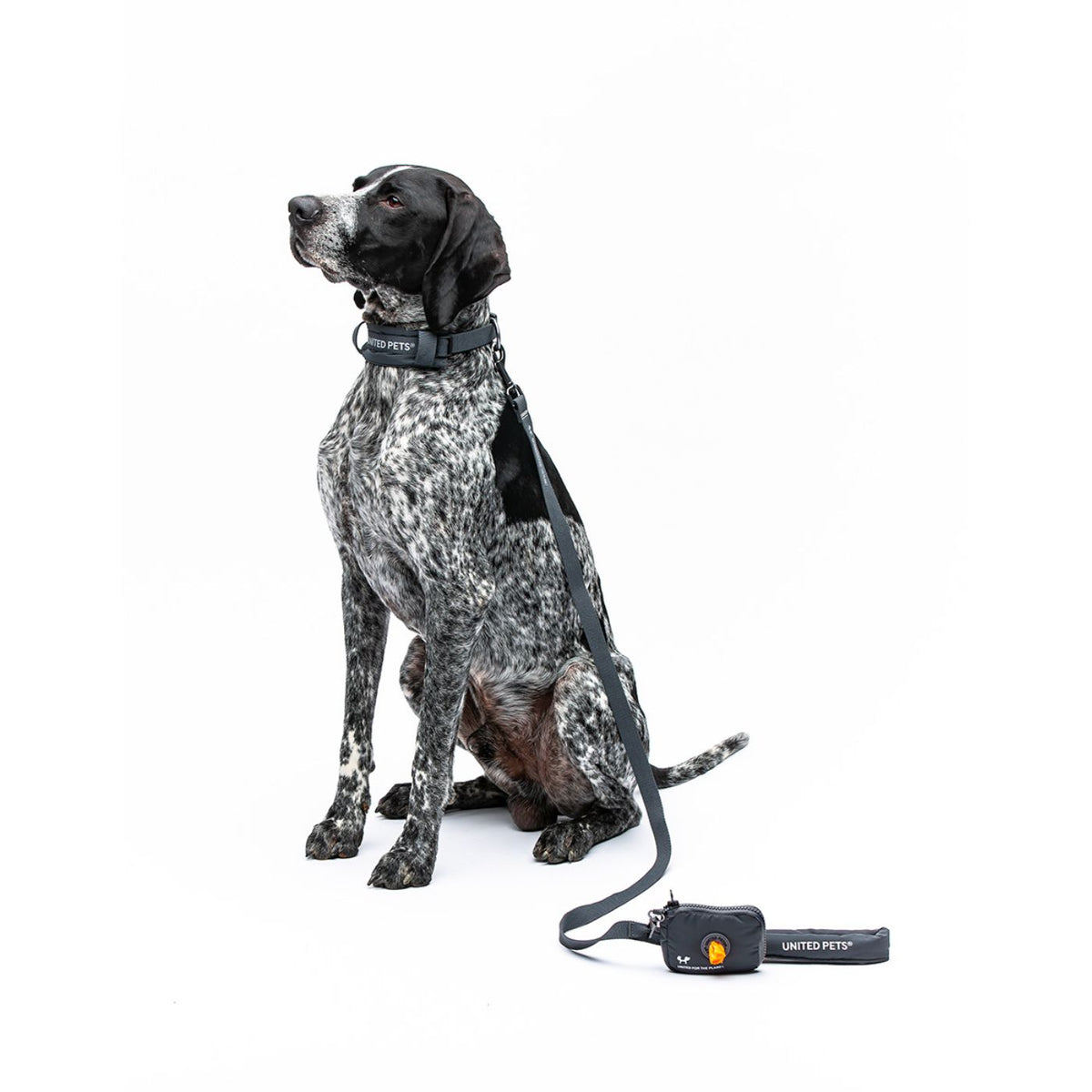 United Pets Portasacchetti Igienici per Cani Linea CityLife con Ricarica Grigio Antracite