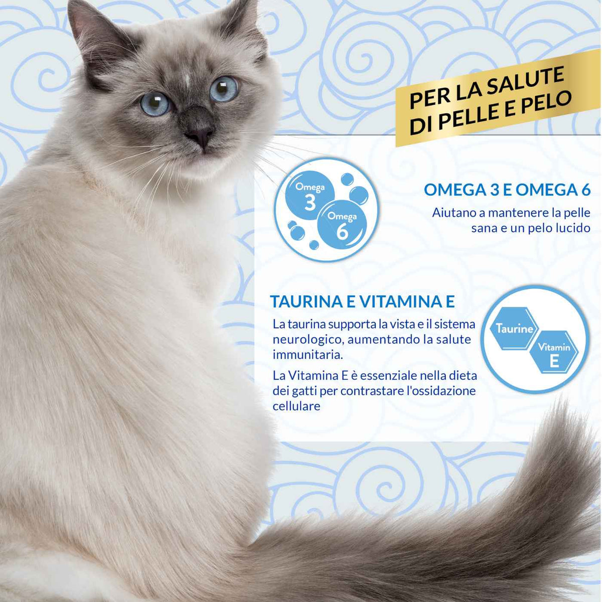 Inaba Ciao Snack in Crema per Gatti Churu Skin&amp;Coat Premio al Pollo 4 Stick da 14 g