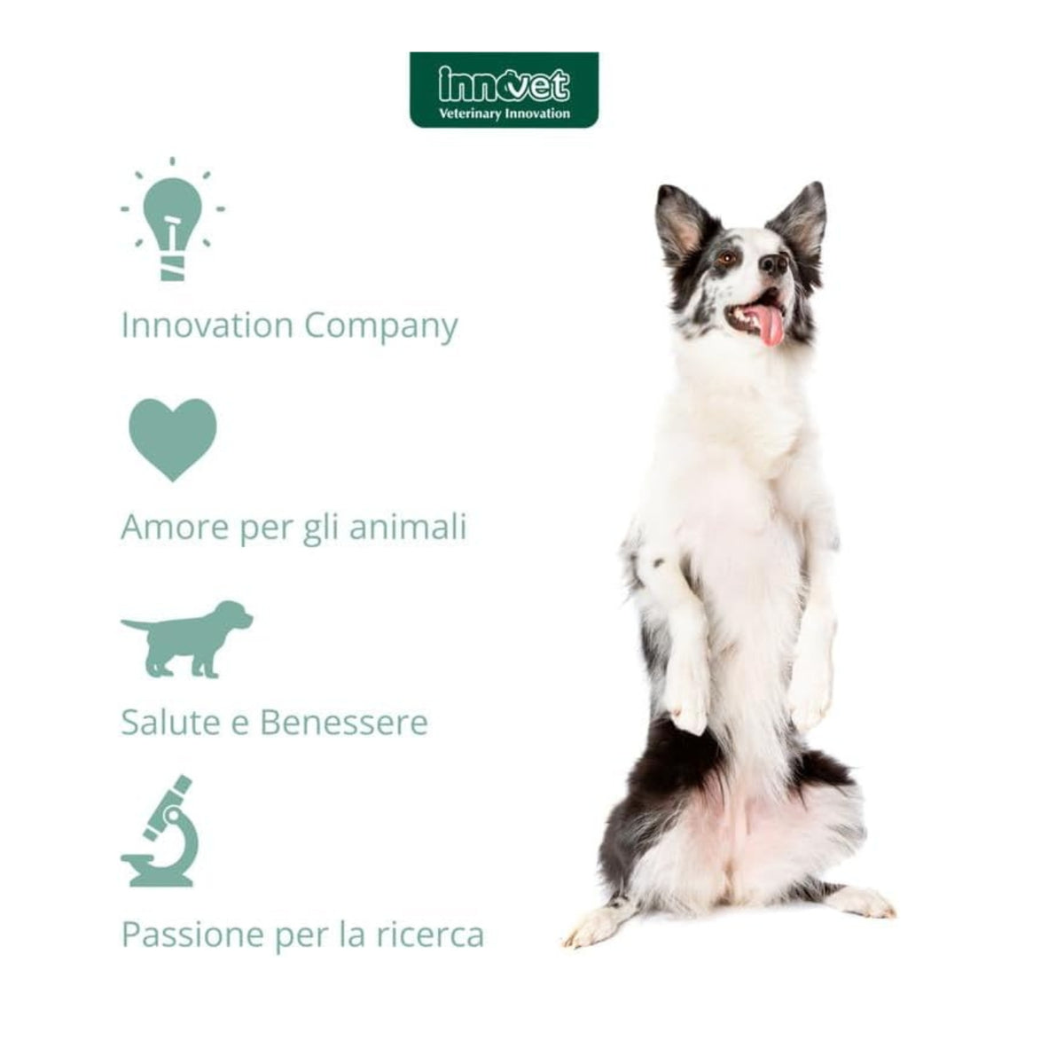 Condrogen Adult &amp; Sport per Cani Stick Innovet