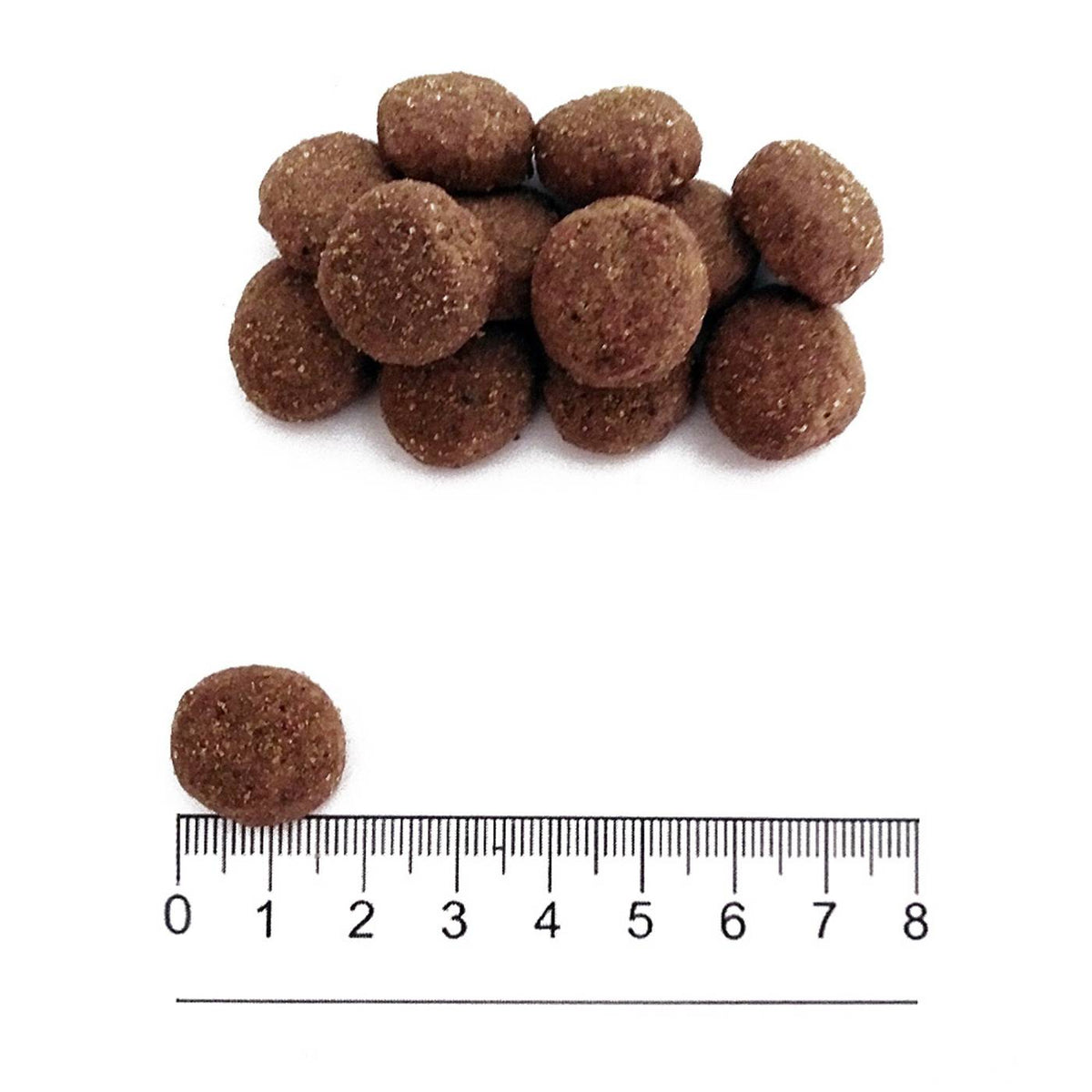 Prolife Sensitive Adult Medium / Large Maiale e Riso per Cani 10 Kg