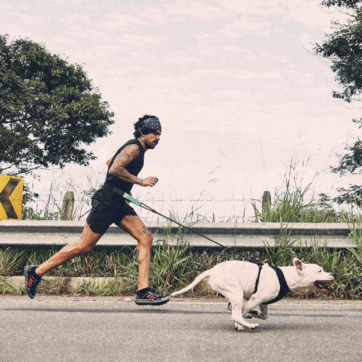 Zee.Dog Cintura da Running con aggancio per guinzaglio Zee.Run Belt