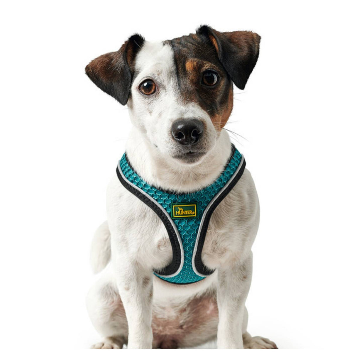 Hunter Pettorina per Cani Hilo Comfort Turchese Riflettente
