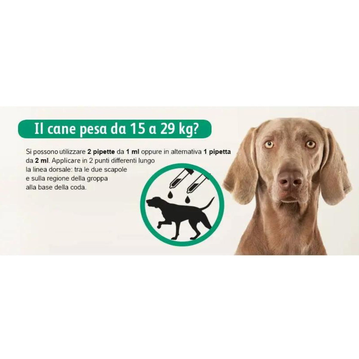 Exspot Spot-On Antiparassitario per Cani