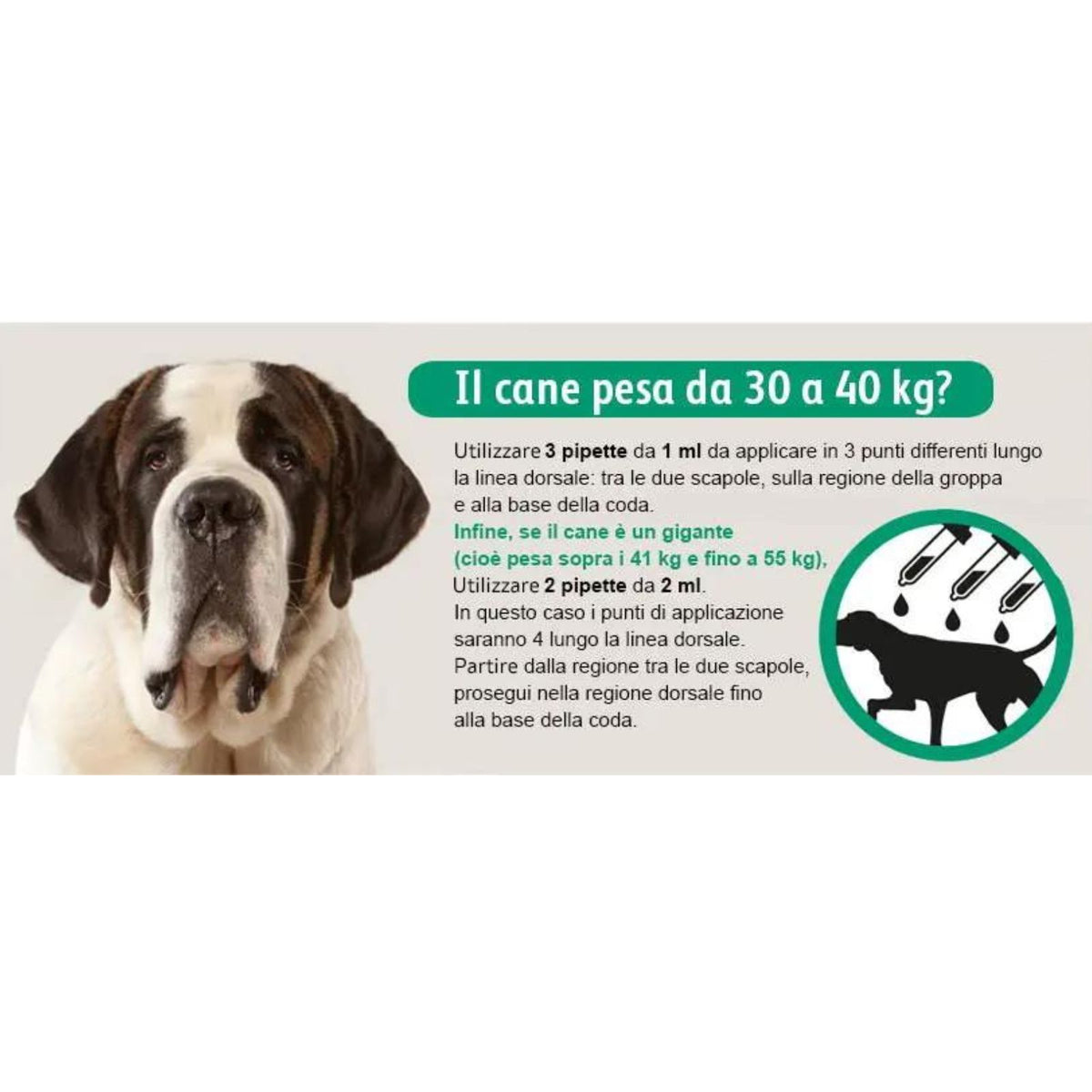 Exspot Spot-On Antiparassitario per Cani