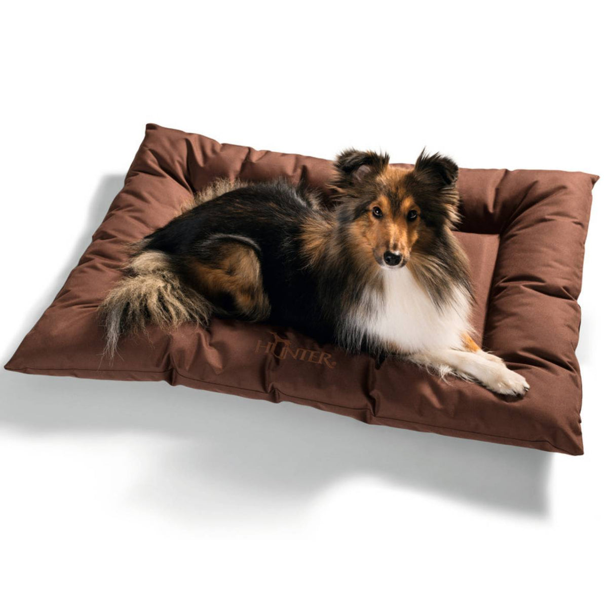 Hunter Cuscino Letto Antibatterico per Cani Gent Marrone 100 x 70 cm