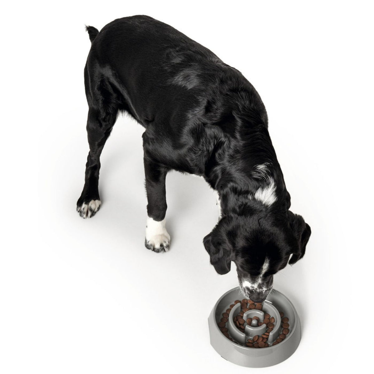 Hunter Ciotola Anti-Ingozzamento per Cani Atlanta in Melamina Grigia