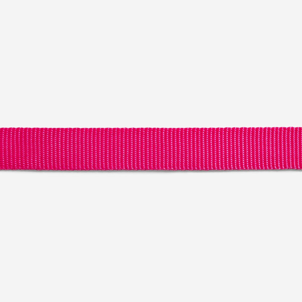 Zee.Dog Guinzaglio Fisso per Cani Pink Led
