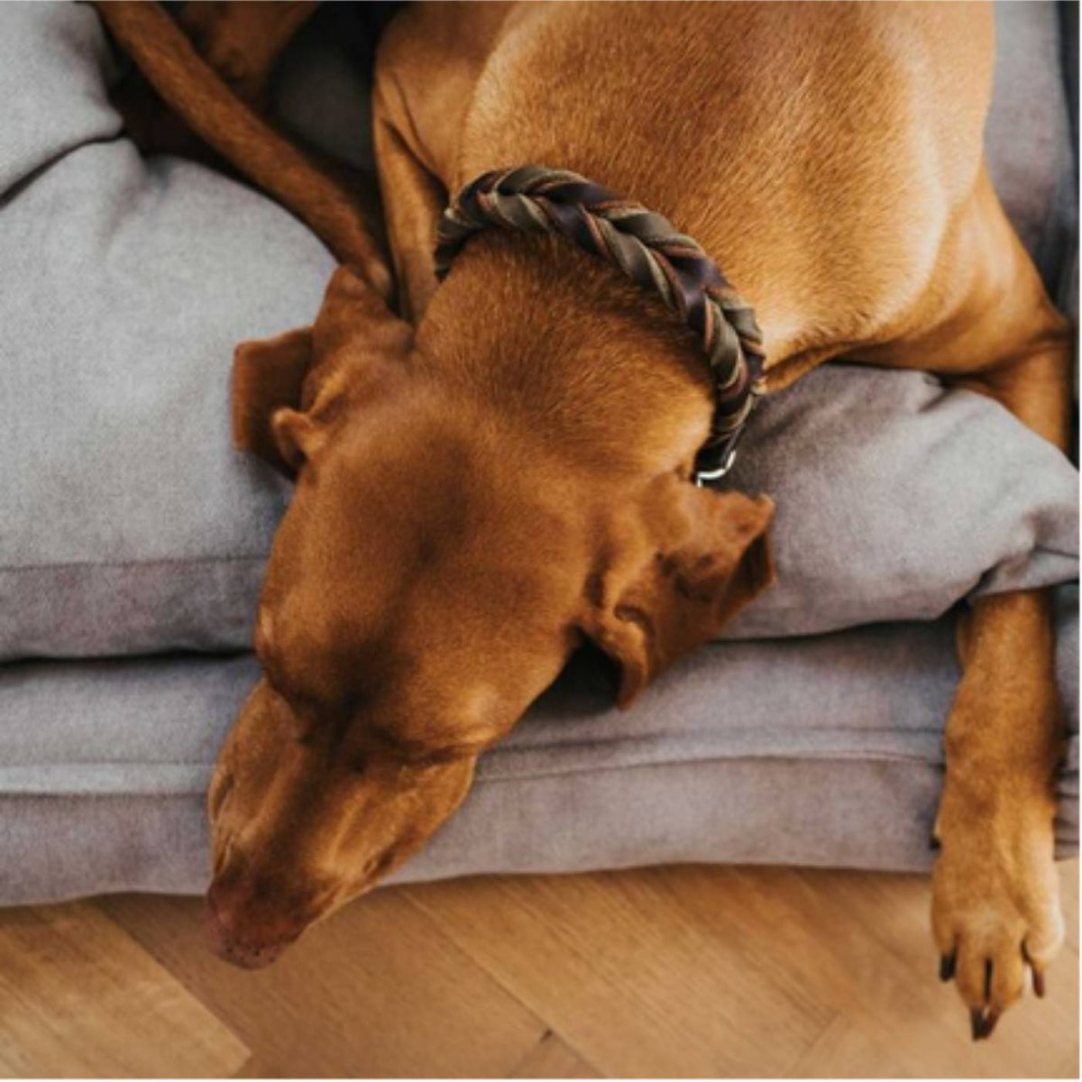 Hunter Divano  per Cani Sofa Eiby Grigio
