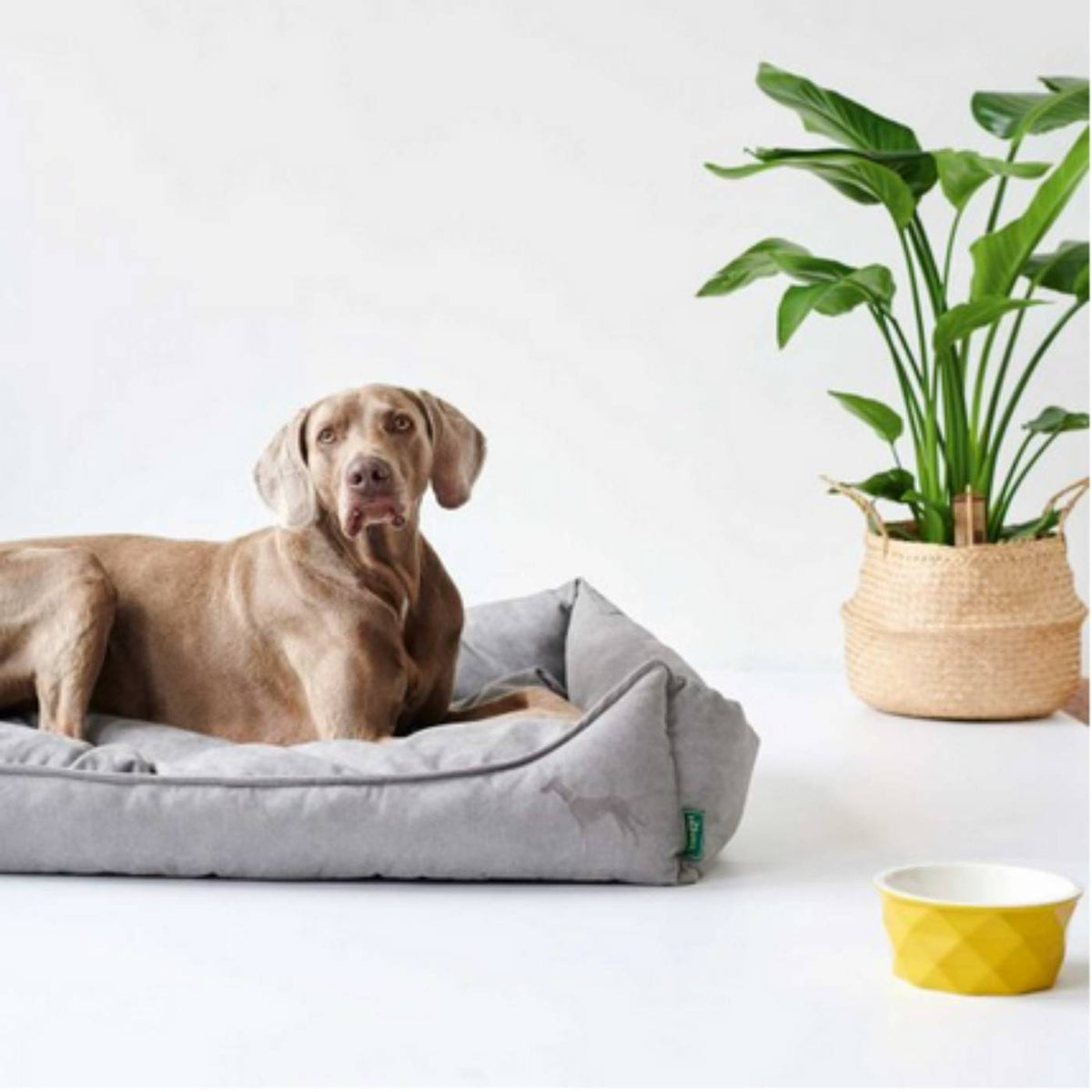Hunter Divano  per Cani Sofa Eiby Grigio