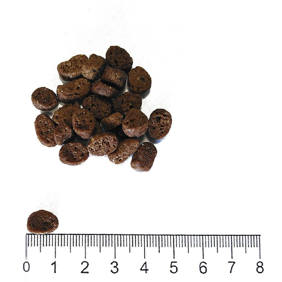 SCADENZA 10/2026 - Prolife Cat Lifestyle Adult Pollo e Riso per Gatti 400 g