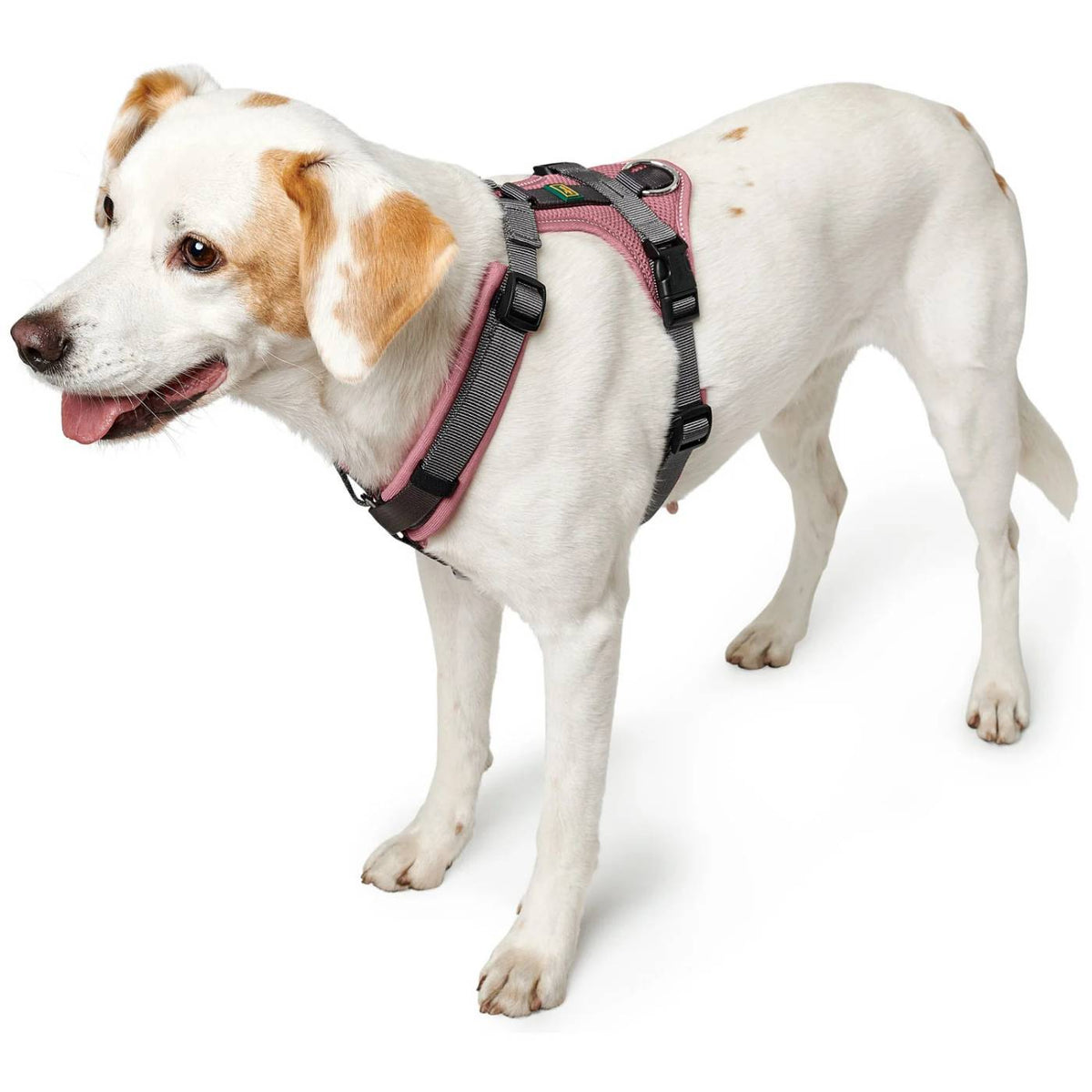 Hunter Pettorina per Cani Maldon Up Rosa Antico/Grigio Riflettente