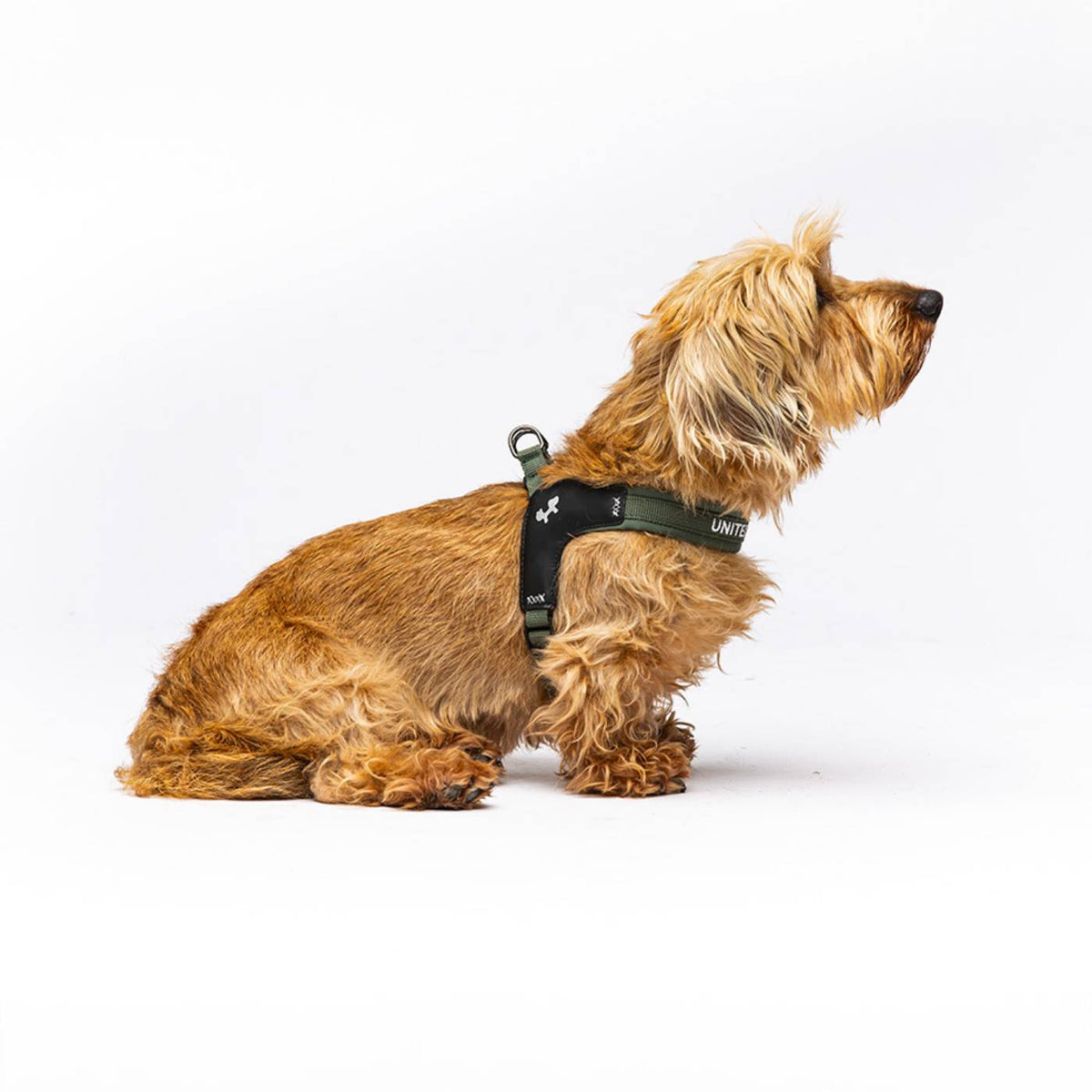 United Pets Pettorina per Cani Aggancio Rapido Linea CityLife Verde Militare